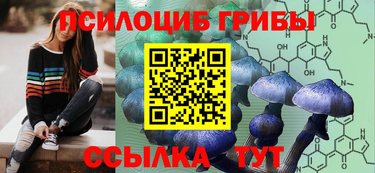 Псилоцибиновые грибы Psilocybe Коммунар
